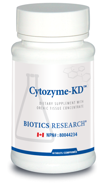 Cytozyme-KD (Kidney)