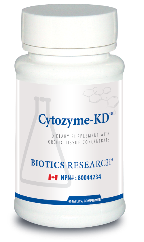 Cytozyme-KD (Kidney)
