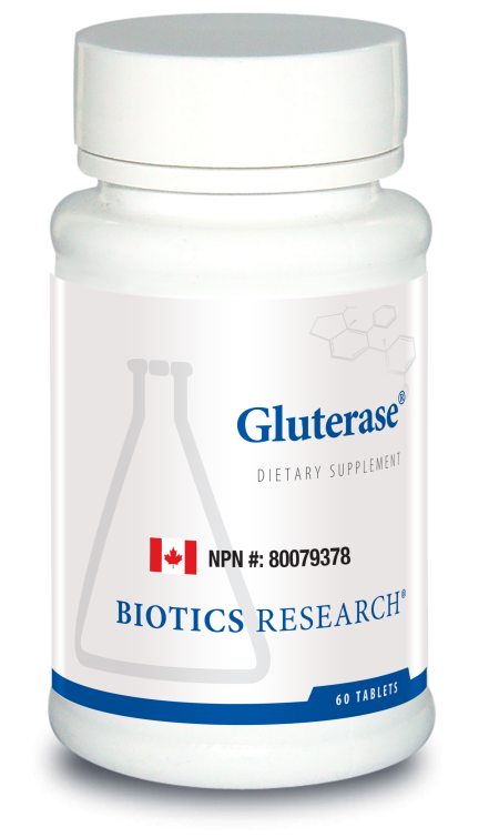 Gluterase