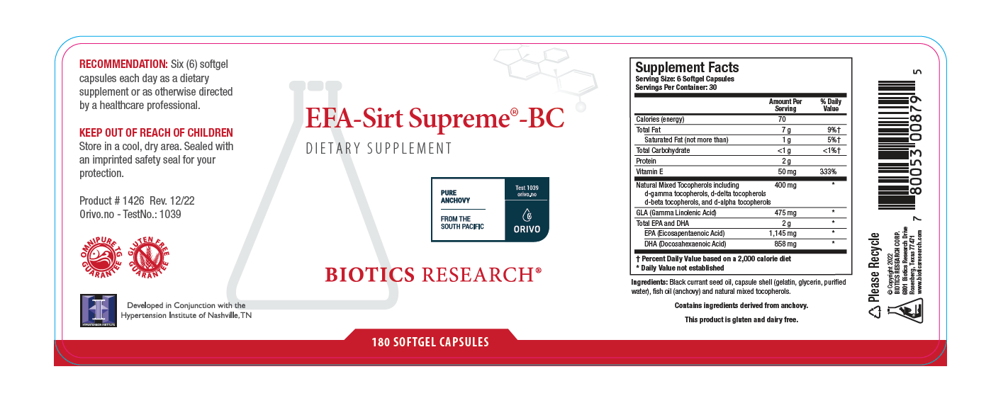 EFA-Sirt Supreme BC - Image 2