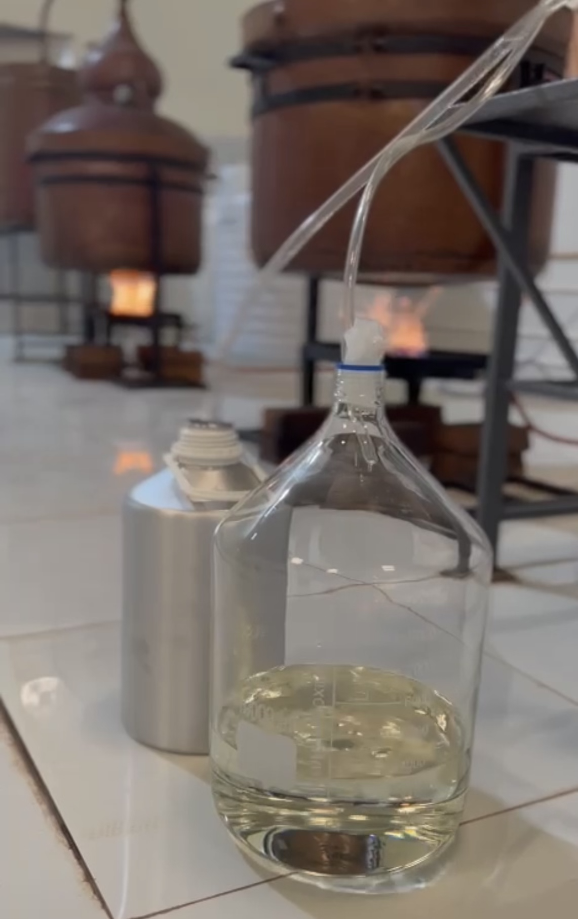 Frankincense (Sacra) Oil 20 ml - Image 4