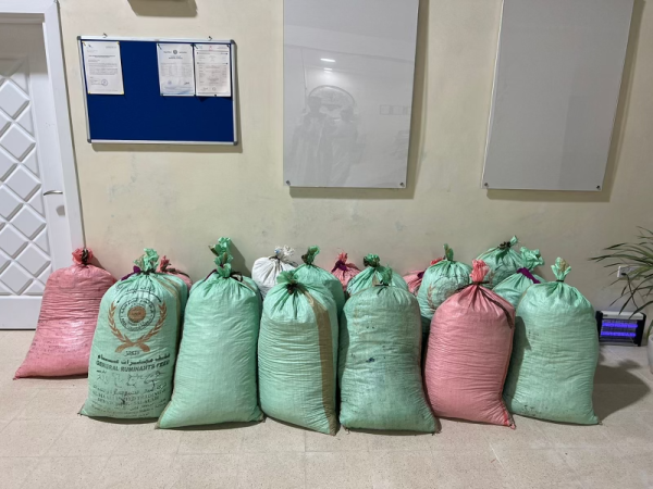 Frankincense Full Kit