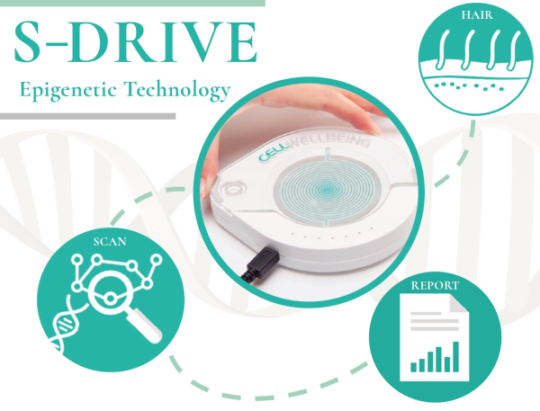 Revive Your Cells Hair Tissue Testing